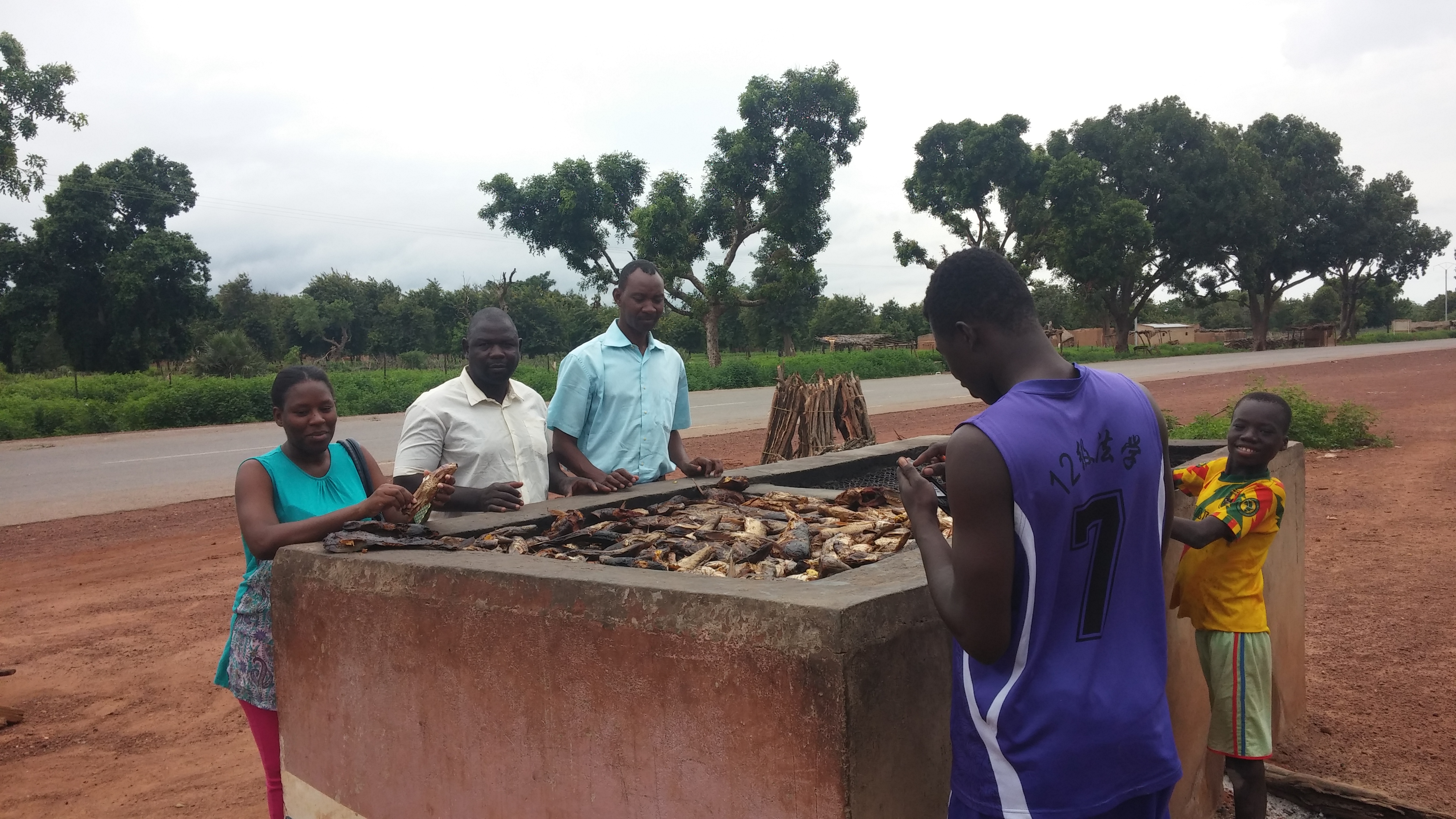 Dispositif pour la transformation du poisson à Tiogo-Mouhoun, localité riveraine du site Ramsar